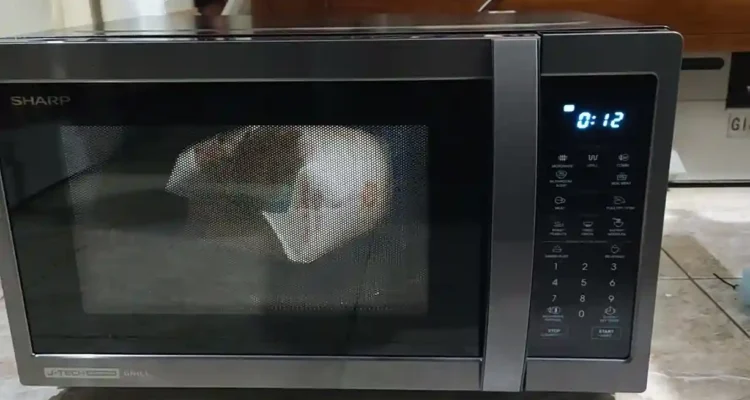 Microwave Terbaru